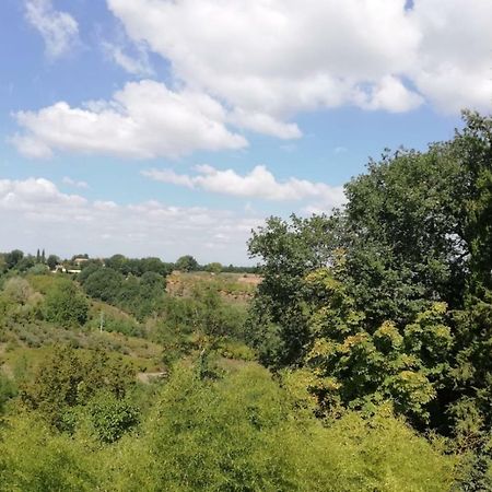 Nel Chianti Lungo La Francigena Leilighet Colle Val D'Elsa Eksteriør bilde