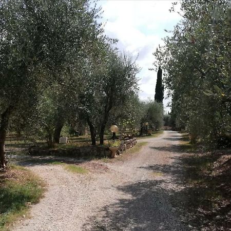 Nel Chianti Lungo La Francigena Leilighet Colle Val D'Elsa Eksteriør bilde