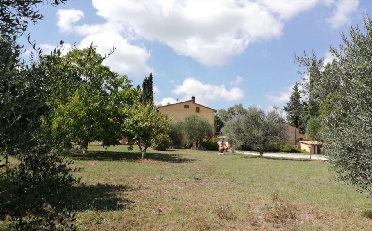 Nel Chianti Lungo La Francigena Leilighet Colle Val D'Elsa Eksteriør bilde