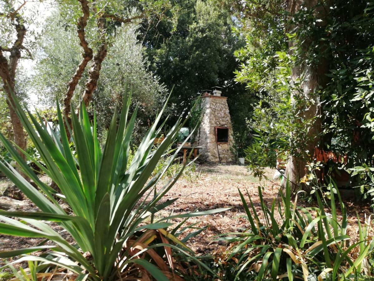 Nel Chianti Lungo La Francigena Leilighet Colle Val D'Elsa Eksteriør bilde