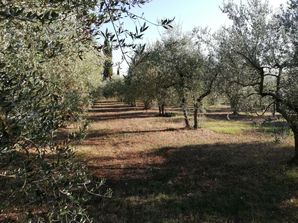 Nel Chianti Lungo La Francigena Leilighet Colle Val D'Elsa Eksteriør bilde