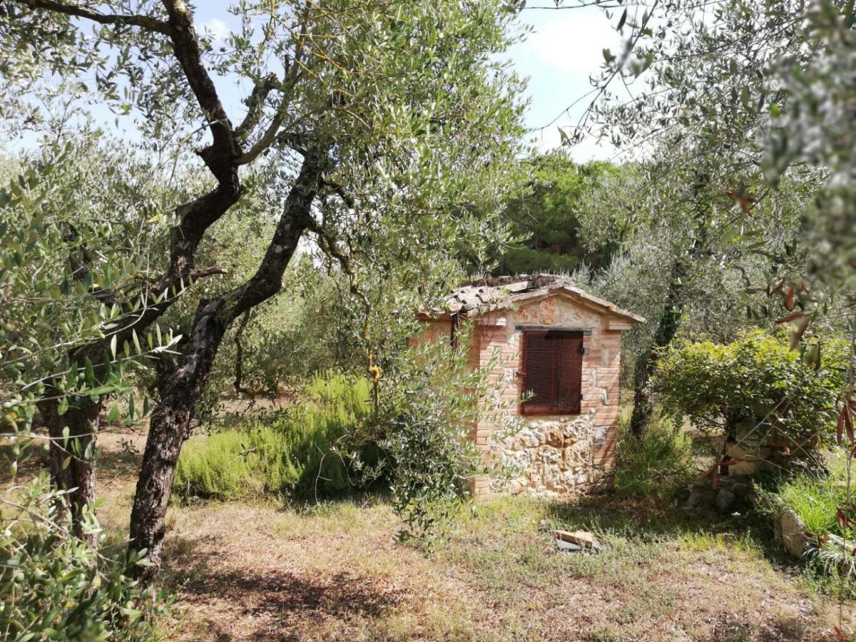 Nel Chianti Lungo La Francigena Leilighet Colle Val D'Elsa Eksteriør bilde