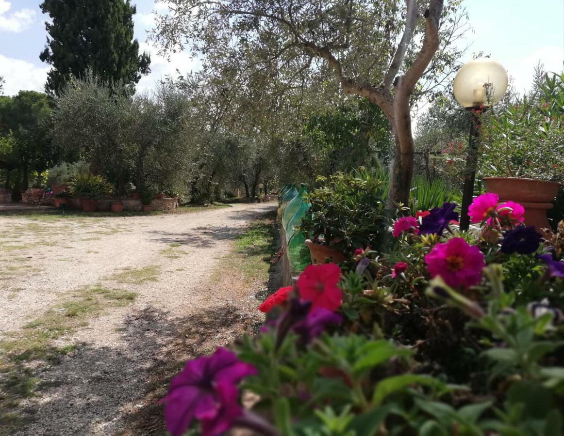 Nel Chianti Lungo La Francigena Leilighet Colle Val D'Elsa Eksteriør bilde