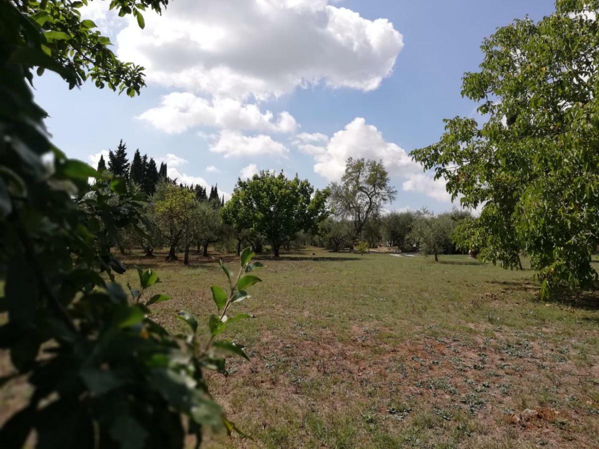 Nel Chianti Lungo La Francigena Leilighet Colle Val D'Elsa Eksteriør bilde