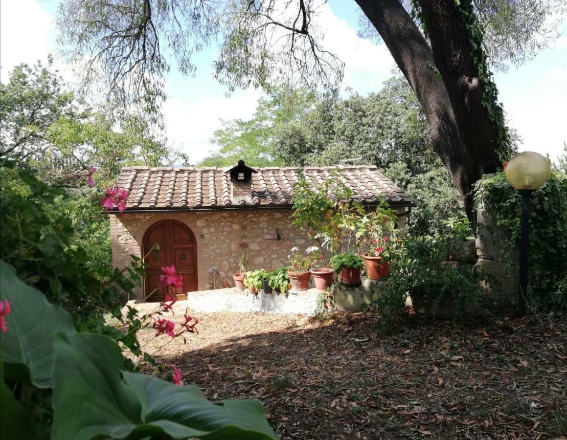 Nel Chianti Lungo La Francigena Leilighet Colle Val D'Elsa Eksteriør bilde