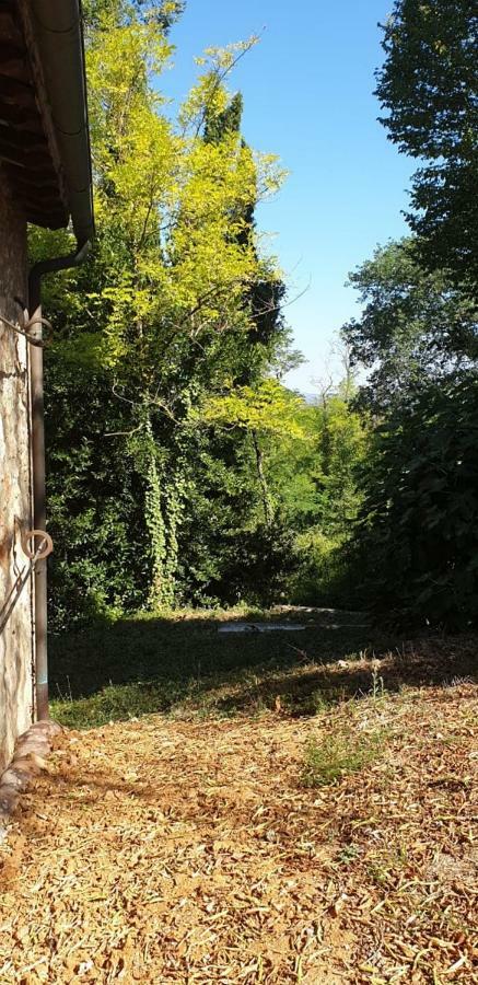 Nel Chianti Lungo La Francigena Leilighet Colle Val D'Elsa Eksteriør bilde