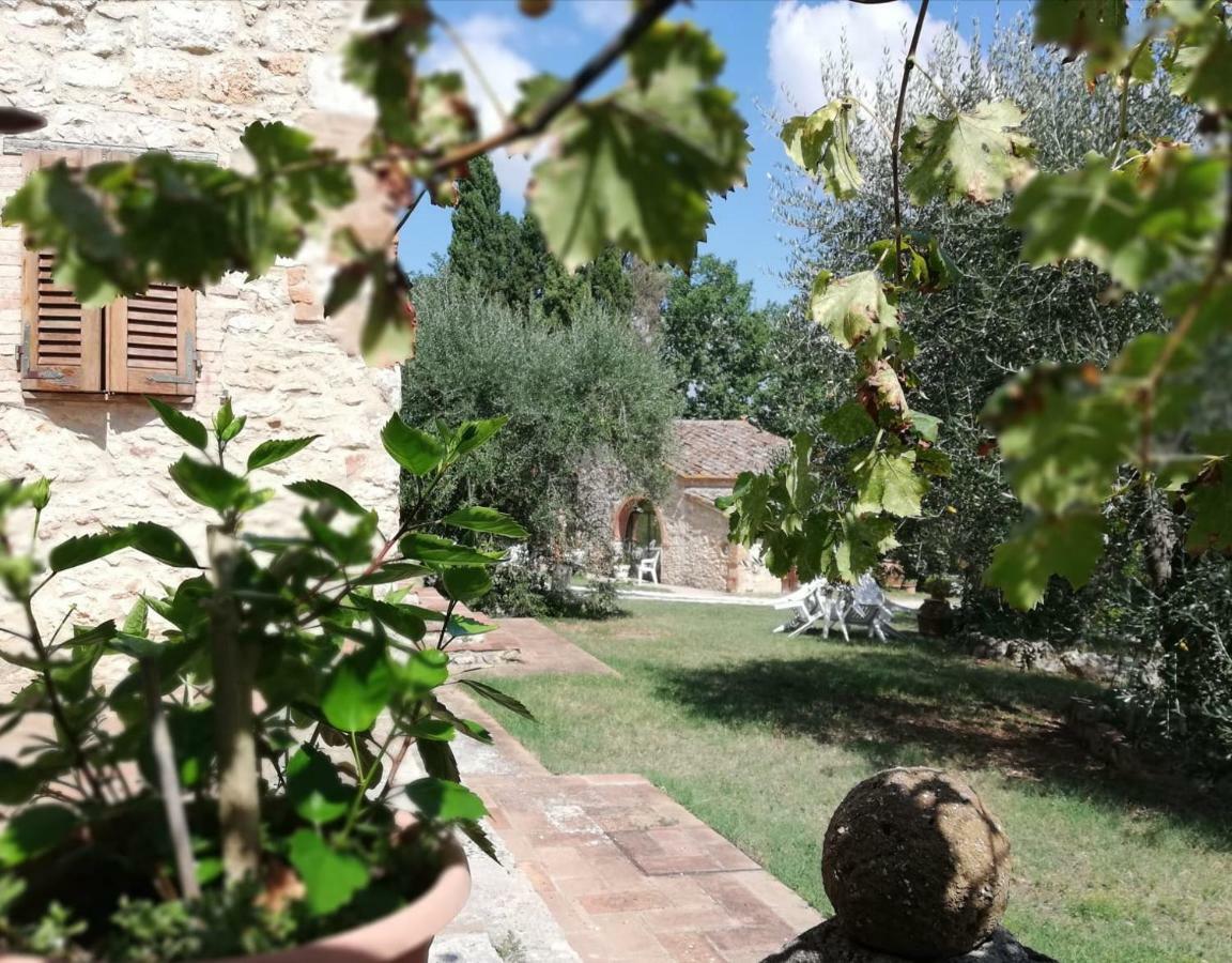 Nel Chianti Lungo La Francigena Leilighet Colle Val D'Elsa Eksteriør bilde