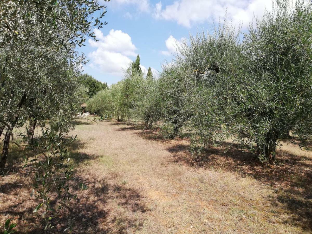 Nel Chianti Lungo La Francigena Leilighet Colle Val D'Elsa Eksteriør bilde
