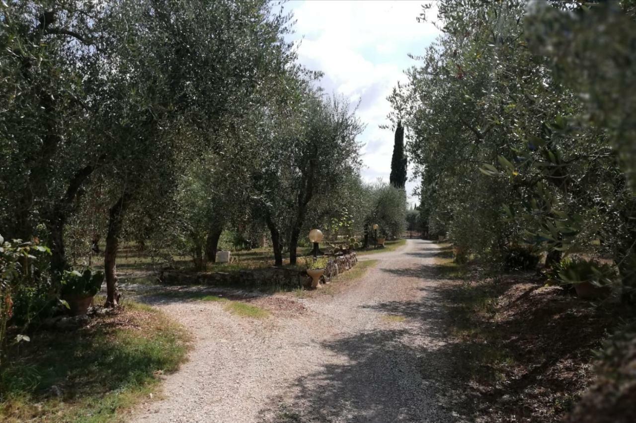 Nel Chianti Lungo La Francigena Leilighet Colle Val D'Elsa Eksteriør bilde